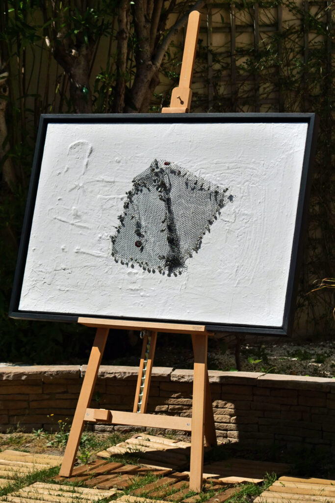 raie d'acier toile christine gaudy artiste peintre