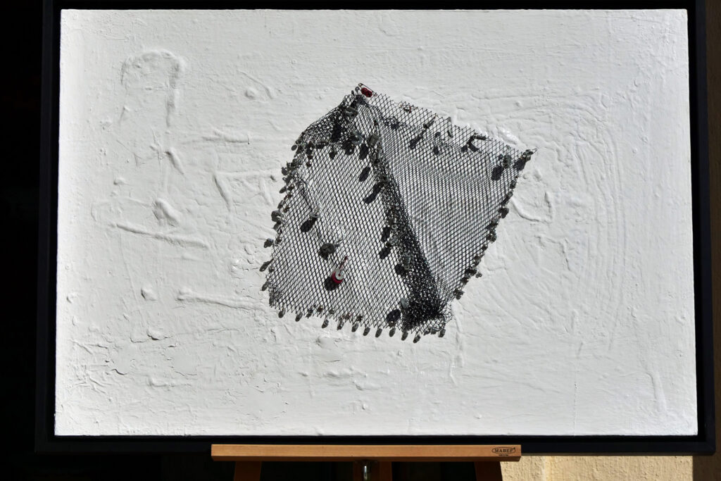 raie d'acier christine gaudy artiste peintre